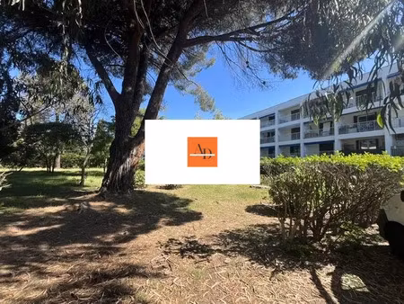 vente appartement 1 pièce 30 m² à sagone (20118)  134 000 €