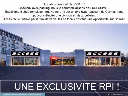 location commerce 1000 m² à colmar (68000)