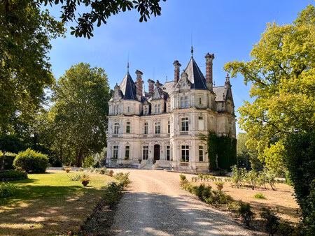 chateau à vendre à jarnac (16200) - charente