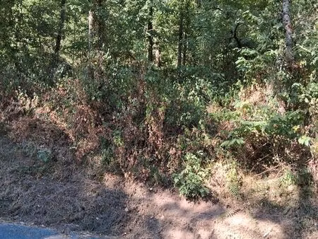 terrain boisé 3825 m2