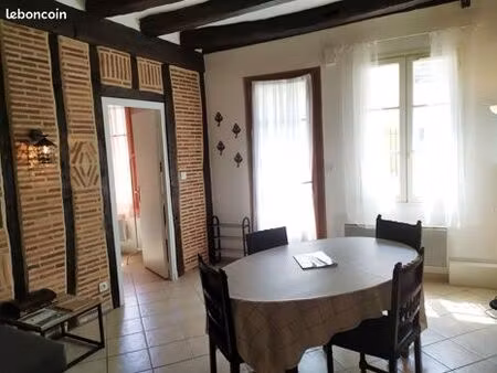 location meublé 40m² - amboise centre + jardin