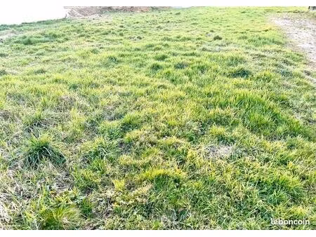 terrain 419 m² peronnas