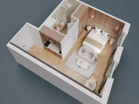 appartement 1 pièce 20 m²