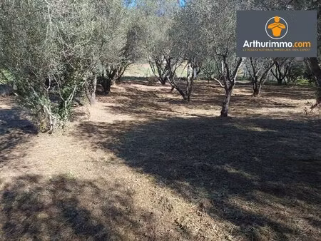 terrain avec permis de construire - petreto bicchisano