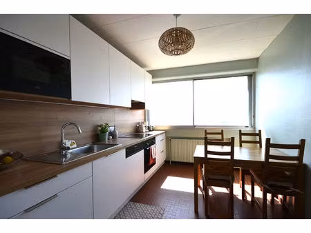 appartement meublé villeurbanne t4 pièce(s) 93.26 m2 gratte-ciel