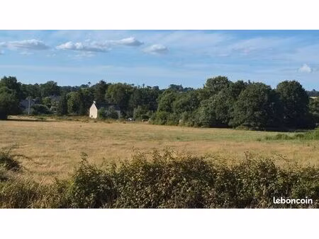 terrain constructible