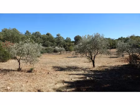 vente terrain 3107 m² saint-maximin-la-sainte-baume (83470)