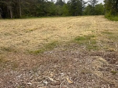 terrain 2000m2