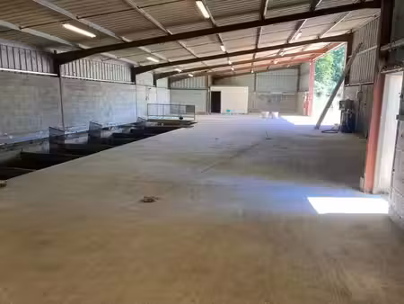 hangar commercial très bon état et fonctionnel