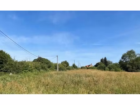 vente terrain 1250 m² à saint-martin-de-bienfaite-la-cressonnière (14290)  26 500 €