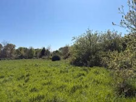 vente terrain à bénodet (29950) : à vendre / 437m² bénodet
