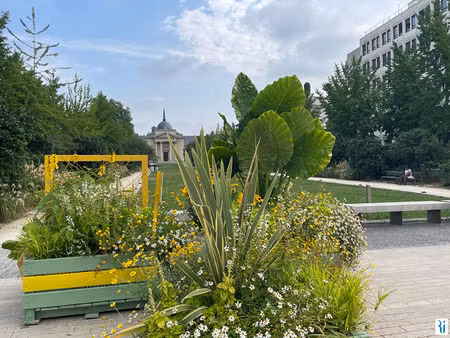 rouen droite - appartement avec 1 chambre