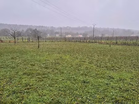 vente terrain 1011 m² à boutiers-saint-trojan (16100)  60 000 €