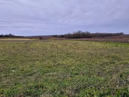 vente terrain 1110 m² à louzac-saint-andré (16100)  59 500 €