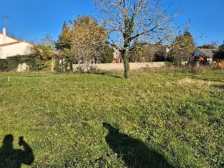 vente terrain 420 m² à soyaux (16800)  65 000 €