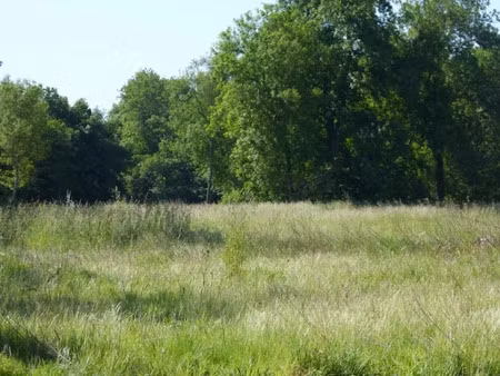 vente terrain 600 m² à bois-l'evêque (76160)  69 000 €