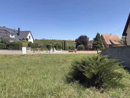 vente terrain 500 m² à orschwihr (68500)  88 000 €