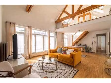 magnifique duplex 1 chambre avec mezzanine