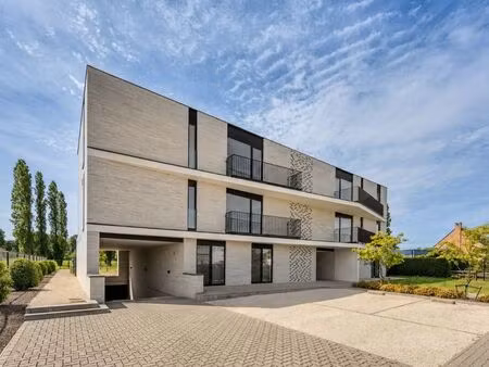 appartement à vendre à berbroek € 350.000 (lqgrm) - era nobis (herk-de-stad) | zimmo