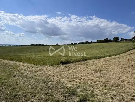 vente terrain 2432 m² à corbarieu (82370)  89 000 €
