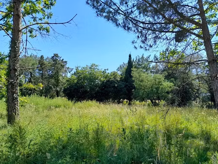 vente terrain 379 m² à saint-viaud (44320)  80 136 €