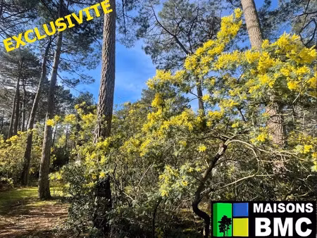 vente terrain 753 m² à lacanau (33680)  365 000 €