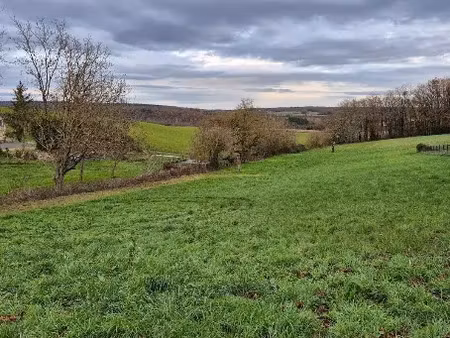 vente terrain 8000 m² à garat (16410)  125 000 €