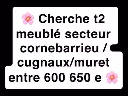 recherche t2 meublé location