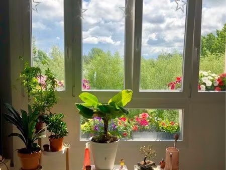 appartement 68m2 lumineux spacieux château flers pied du lac et écoles