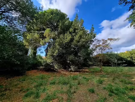 vente terrain 947 m² à pomérols (34810)  199 000 €