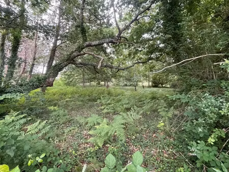 vente terrain 900 m² à lacanau (33680)  245 000 €