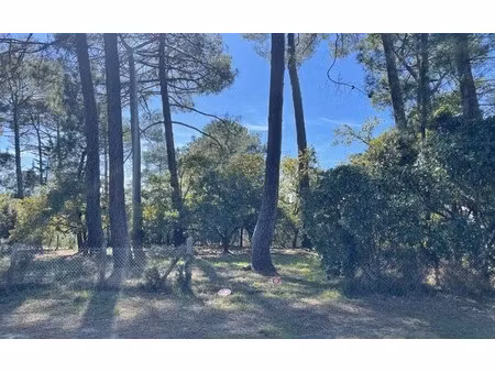 vente terrain 1412 m² à cestas (33610)  320 000 €