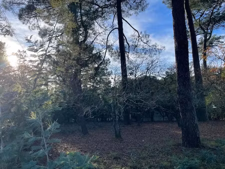 vente terrain 695 m² à lacanau (33680)  280 000 €