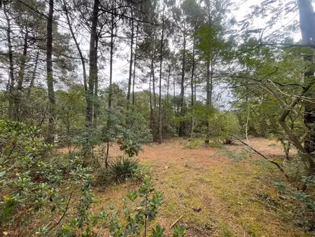 vente terrain 1200 m² à lacanau (33680)  600 000 €