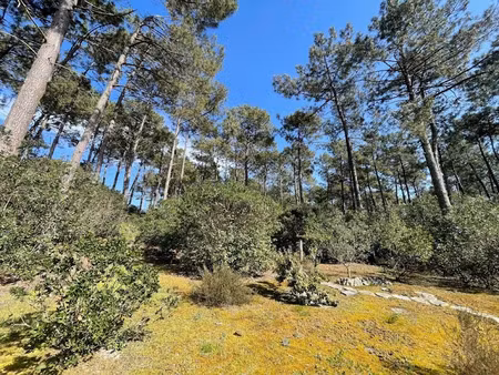 vente terrain 1450 m² à lacanau (33680)  635 000 €