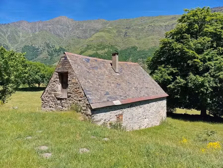 vente locaux professionnels 2 pièces 75 m² à tramezaïgues (65170)  99 000 €