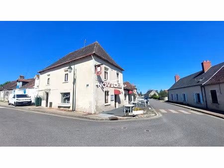 vente locaux professionnels 0 pièces 200 m² à le blanc (36300)  219 500 €