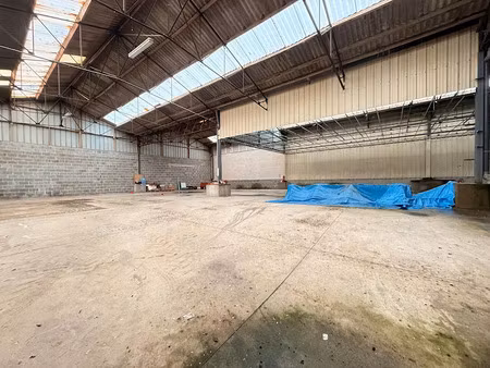 vente locaux professionnels 900 m² à saint-pol-de-léon (29250)  336 000 €