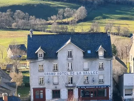 vente locaux professionnels 0 pièces 700 m² à cheylade (15400)  420 000 €