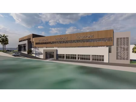 vente locaux professionnels 1 pièce 593.97 m² à les abymes (97139)  1 960 010 €