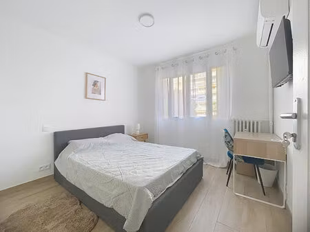 colocation - rue professeur delvalle