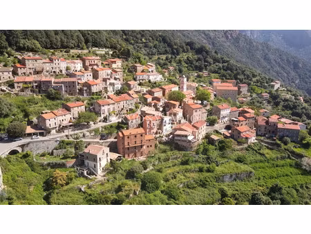vente immeuble 12 pièces 400 m² à ota (20150)  560 000 €
