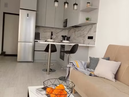 location meublée appartement 2 pièces 31 m² à lyon 1er (69001)  620 €