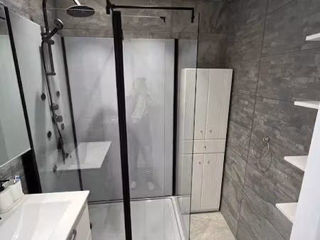 location meublée appartement 5 pièces 110 m² à villeurbanne (69100)  520 €