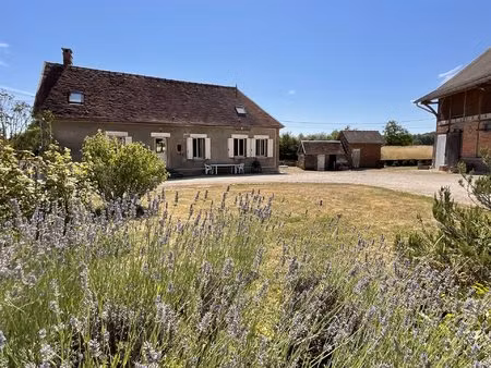 splendide maison rénovée  secteur campagne d'auxon