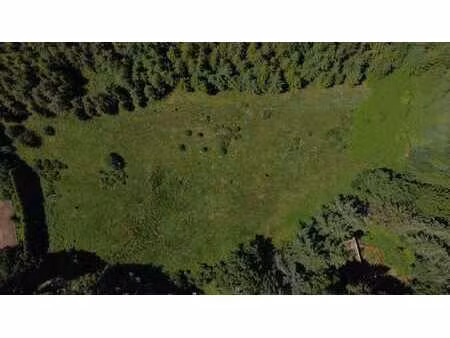 beau terrain de loisirs à stavelot  au calme et au vert