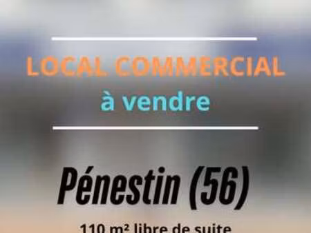 vente bureaux et commerces à pénestin (56760) : à vendre / 110m² pénestin