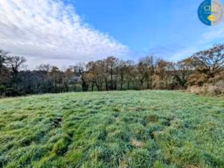 vente terrain à monteneuf (56380) : à vendre / monteneuf
