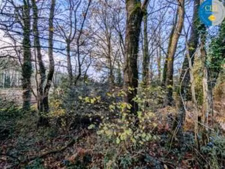 vente terrain à monteneuf (56380) : à vendre / monteneuf