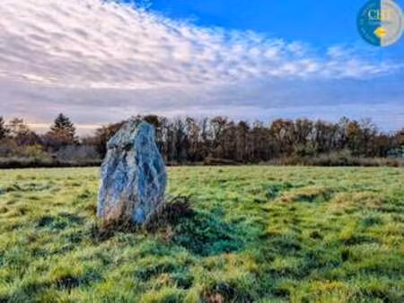 vente terrain à monteneuf (56380) : à vendre / monteneuf